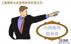 六西格瑪管理中倡導者的職責是什么？